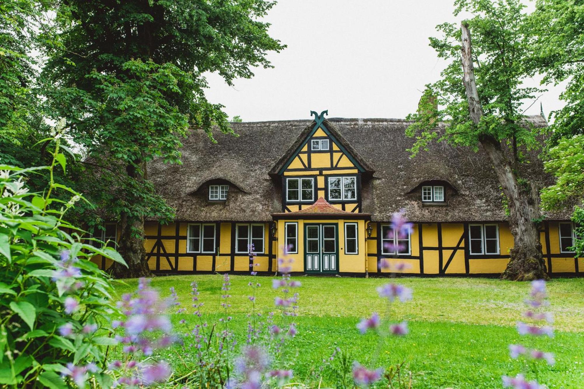 Herrenhaus Gut Dorotheenthal Damp Eksteriør bilde